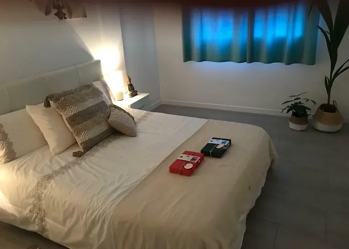 Bristol 科拉雷侯